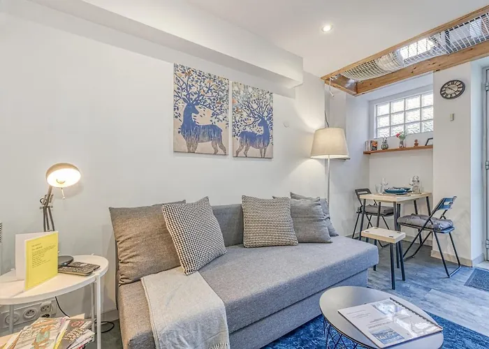 Apartment Le Petit Parfait Confort Gare Hamac Netflix *