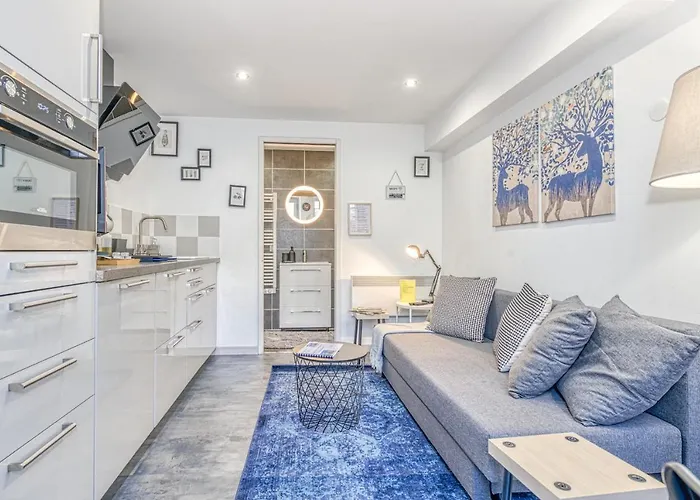 Apartment Le Petit Parfait Confort Gare Hamac Netflix Grenoble