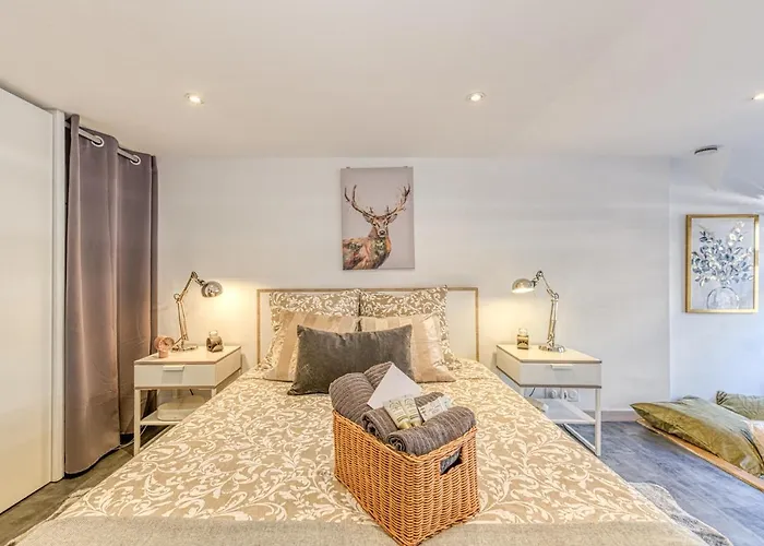 Apartment Le Petit Parfait Confort Gare Hamac Netflix Grenoble