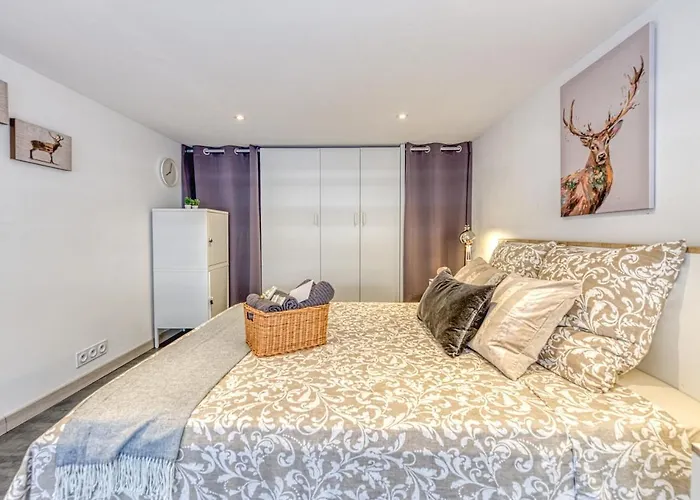 Apartment Le Petit Parfait Confort Gare Hamac Netflix