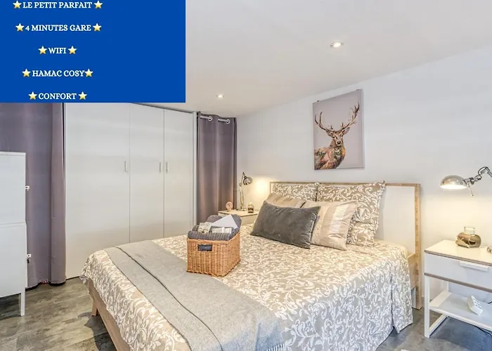 Le Petit Parfait Confort Gare Hamac Netflix Apartment Grenoble